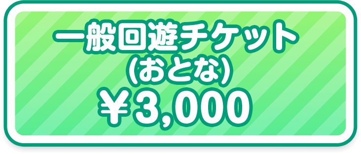 一般チケット（おとな）