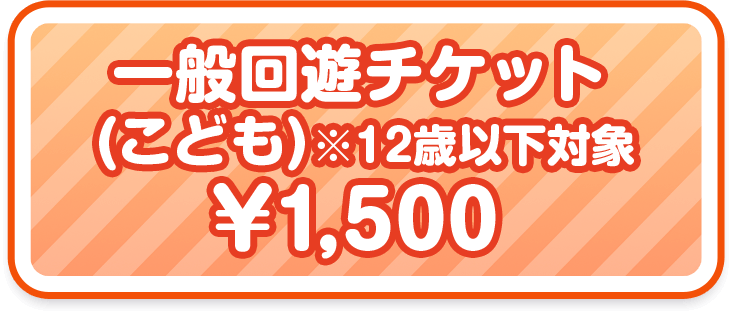 一般チケット（こども）※12歳以下対象