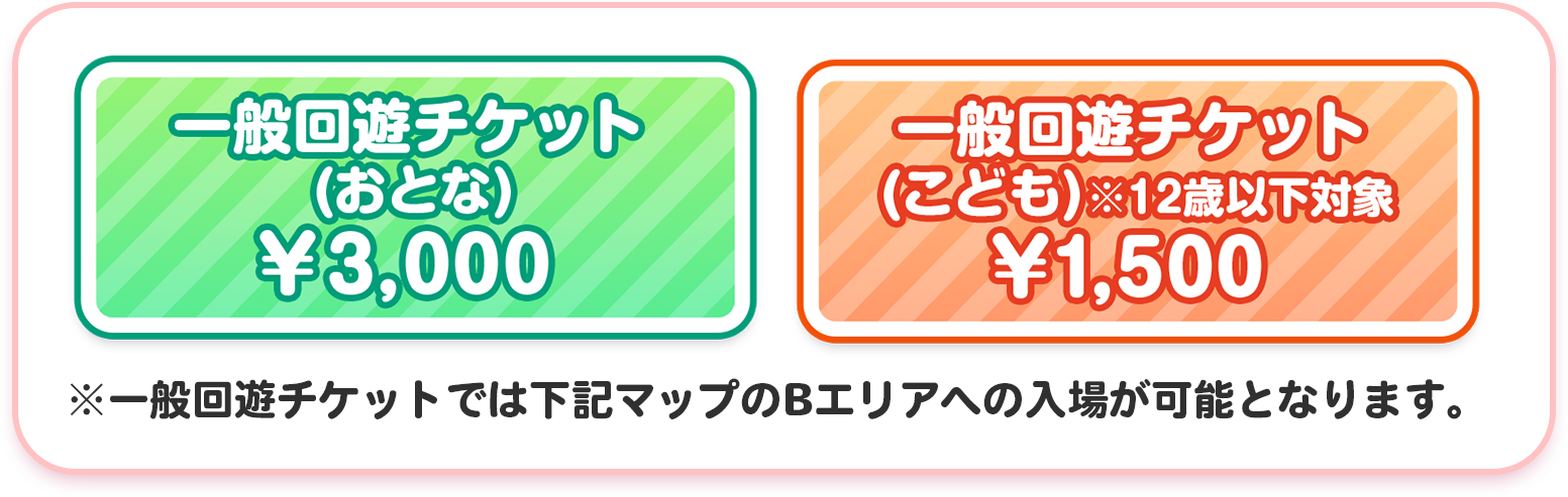 一般チケット（おとな）